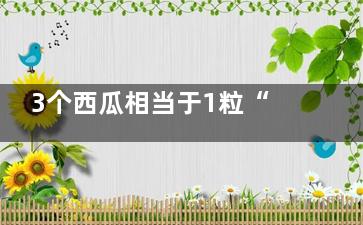 3个西瓜相当于1粒“伟哥” 推荐八款男性福音食物(一个西瓜等于)